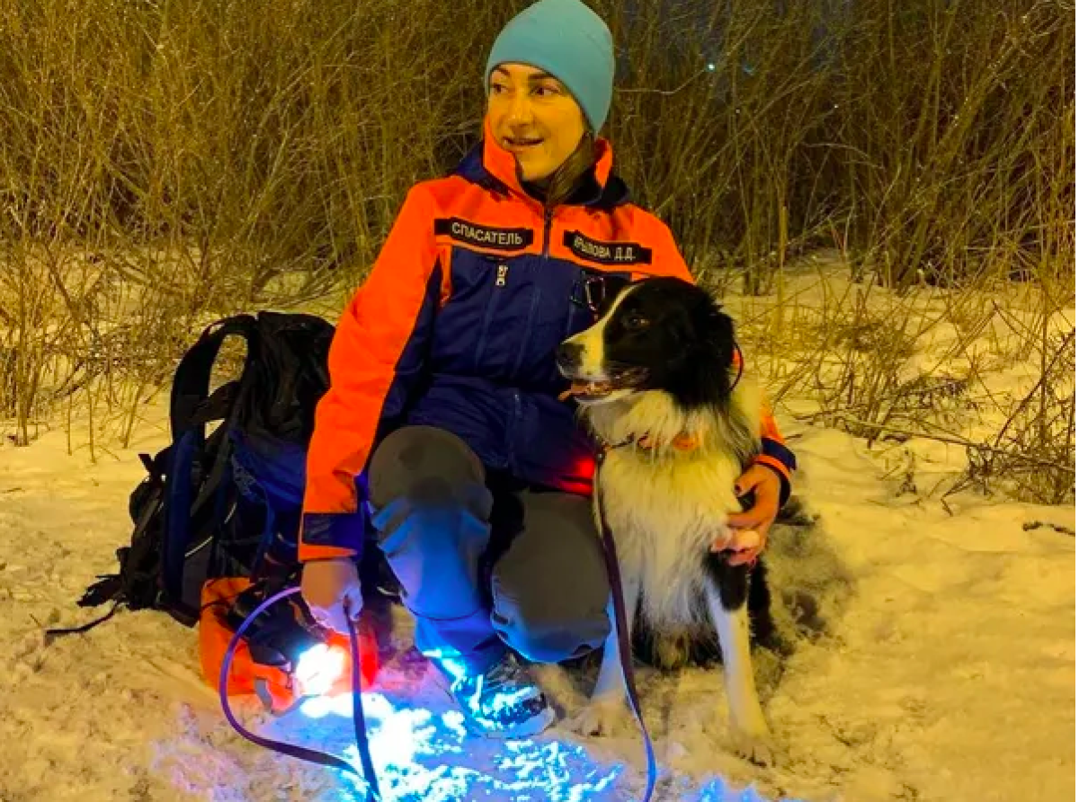 Dog Vzhik helped volunteers save a man in a winter forest